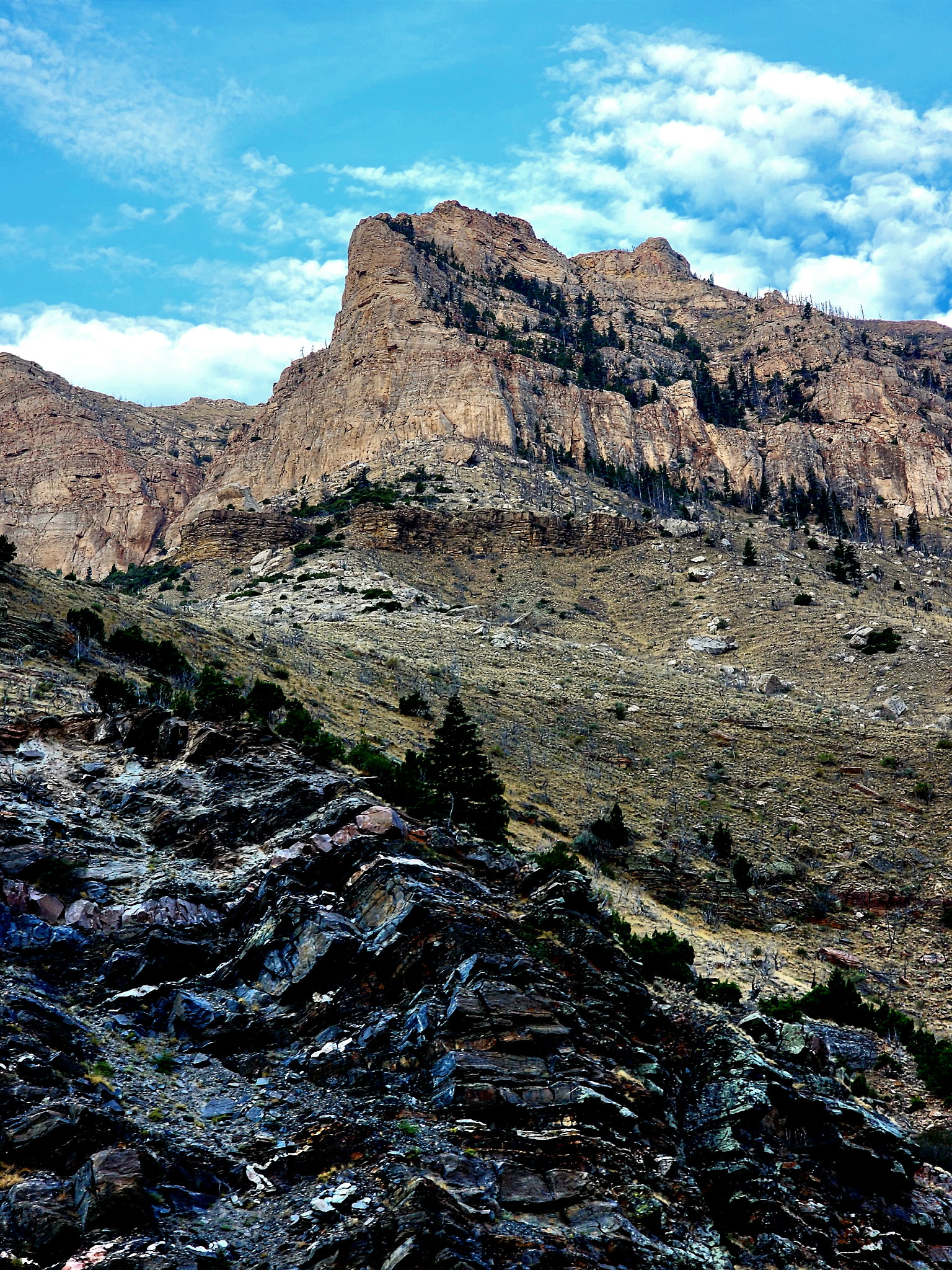 Another Call for Public Lands